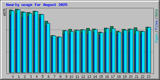 Hourly usage for August 2025