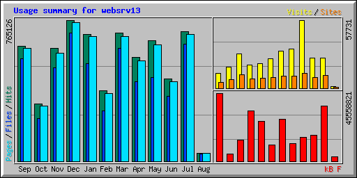 Usage summary for websrv13